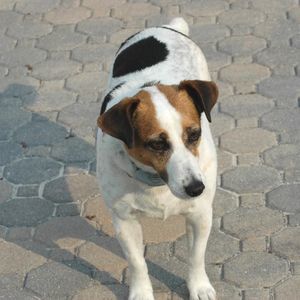 Meet your Posher, Robbin